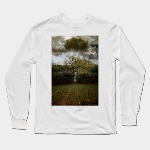 A Ladder to the Clouds Long Sleeve T-Shirt by Nigdaw